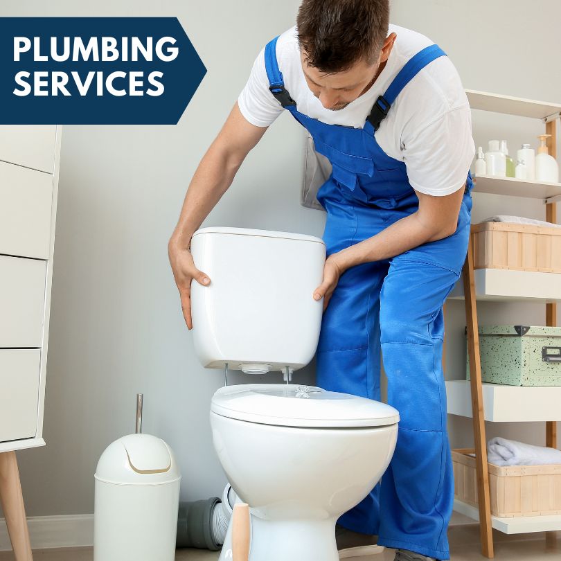 Plumbing Company in Lake City, MN